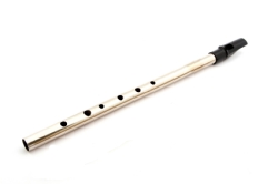 Pennywhistle